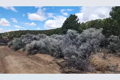 7430 & 7431 Waligunda Road, Fort Garland, CO 81133 - Photo 14