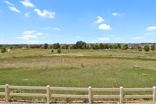 8451 Dove Ridge Way, Parker, CO 80134 - Photo 42