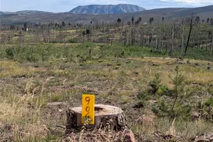 904 Ueda Pl, Fort Garland, CO 81133 - Photo 1