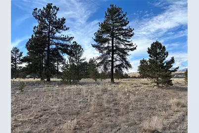 823 Windmill Drive, Hartsel, CO 80449 - Photo 2