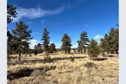 823 Windmill Drive, Hartsel, CO 80449 - Photo 4