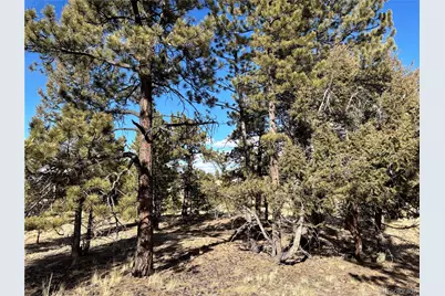 823 Windmill Drive, Hartsel, CO 80449 - Photo 6