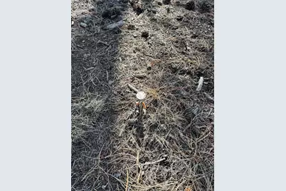 823 Windmill Drive, Hartsel, CO 80449 - Photo 22