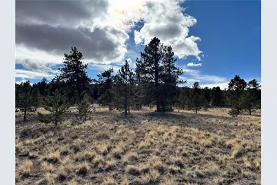 823 Windmill Drive, Hartsel, CO 80449 - Photo 12