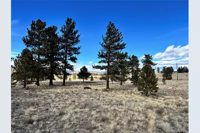 823 Windmill Drive, Hartsel, CO 80449 - Photo 14