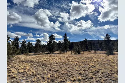 823 Windmill Drive, Hartsel, CO 80449 - Photo 10