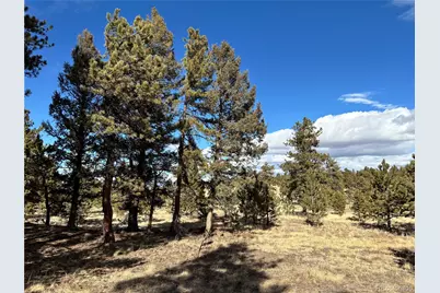 823 Windmill Drive, Hartsel, CO 80449 - Photo 8