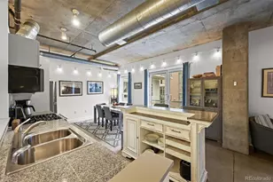 1610 Little Raven Street, Denver, CO 80202 - Photo 12