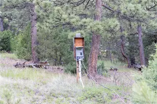 3600 Blue Mountain Trail, Lyons, CO 80540 - Photo 18