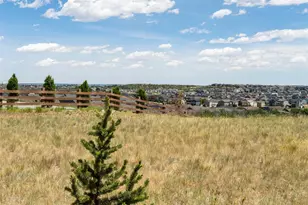 465 Silver Rock Trl, Castle Rock, CO 80104 - Photo 4