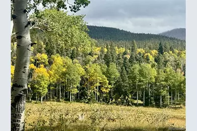 Lot 2843 Wendt Lane, Fort Garland, CO 81133 - Photo 2