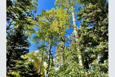 Lot 2843 Wendt Lane, Fort Garland, CO 81133 - Photo 12