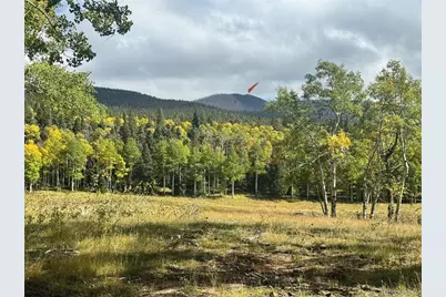 Lot 2843 Wendt Lane, Fort Garland, CO 81133 - Photo 1