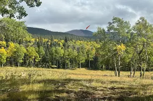 Lot 2843 Wendt Ln, Fort Garland, CO 81133 - Photo 1