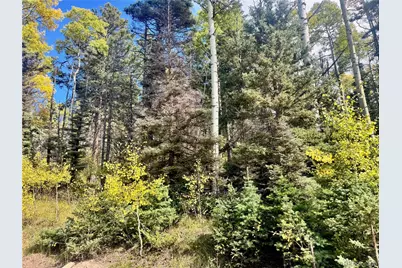 Lot 2843 Wendt Lane, Fort Garland, CO 81133 - Photo 10