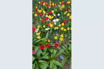 628 Harrison Street, Denver, CO 80206 - Photo 46