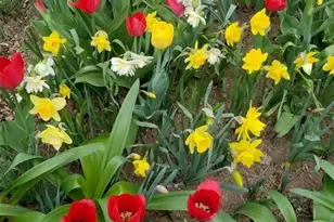 628 Harrison St, Denver, CO 80206 - Photo 46