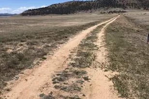 Unk Sulphur Mountain Rd, Hartsel, CO 80449 - Photo 16