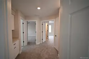 19834 E 49th Pl, Denver, CO 80249 - Photo 14