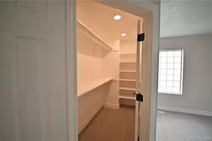 19834 E 49th Pl, Denver, CO 80249 - Photo 18