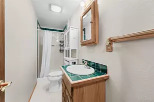 9170 Stargrass Cir, Highlands Ranch, CO 80126 - Photo 34