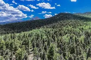 79 Terrazo Abajo, Westcliffe, CO 81252 - Photo 30