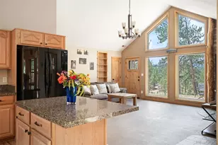 21 Crystal Rock Rd, Bailey, CO 80421 - Photo 8