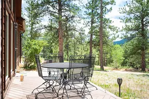 21 Crystal Rock Rd, Bailey, CO 80421 - Photo 30