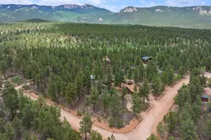 21 Crystal Rock Rd, Bailey, CO 80421 - Photo 40