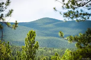 21 Crystal Rock Rd, Bailey, CO 80421 - Photo 24