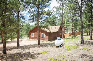 21 Crystal Rock Rd, Bailey, CO 80421 - Photo 46