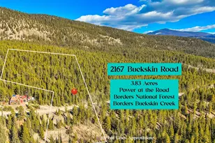 2167 Buckskin Rd, Alma, CO 80420 - Photo 1