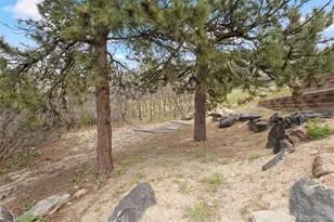 4605 Tierra Alta Dr, Castle Rock, CO 80104 - Photo 28