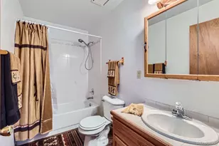 42 Catamount Ridge Rd, Bailey, CO 80421 - Photo 10