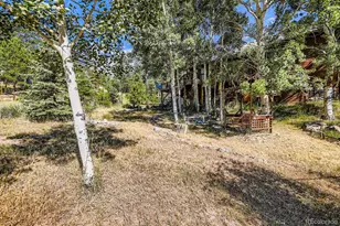 42 Catamount Ridge Rd, Bailey, CO 80421 - Photo 18