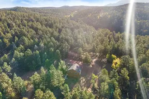 109 Garnet Way, Florissant, CO 80816 - Photo 32