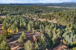 109 Garnet Way, Florissant, CO 80816 - Photo 30