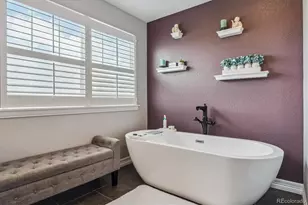 1445 Black Pine Ct, Castle Rock, CO 80104 - Photo 26