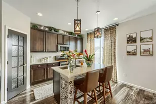 1140 Preble Ct, Castle Rock, CO 80104 - Photo 10