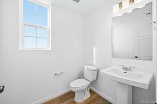 17164 W 91st Ln, Arvada, CO 80007 - Photo 12