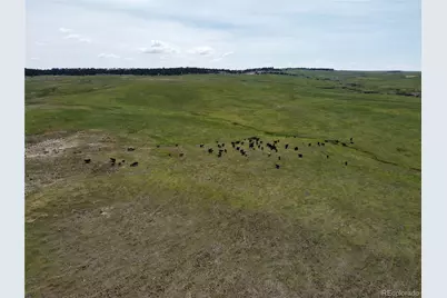 17 County Road 77, Calhan, CO 80808 - Photo 12