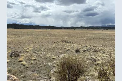 315 Cedar Lane, Hartsel, CO 80449 - Photo 20