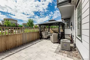 3198 Ireland Moss St, Castle Rock, CO 80109 - Photo 34