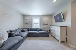 3198 Ireland Moss St, Castle Rock, CO 80109 - Photo 22