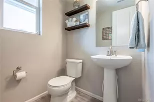 3198 Ireland Moss St, Castle Rock, CO 80109 - Photo 20