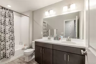 3198 Ireland Moss St, Castle Rock, CO 80109 - Photo 32