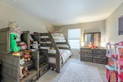 3198 Ireland Moss Street, Castle Rock, CO 80109 - Photo 30