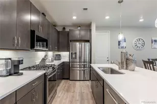 3198 Ireland Moss St, Castle Rock, CO 80109 - Photo 14