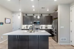 3198 Ireland Moss St, Castle Rock, CO 80109 - Photo 12