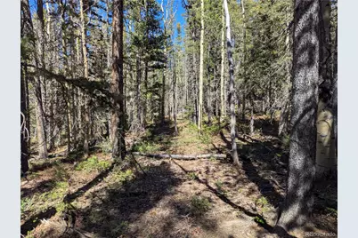 3375 Purnell Lane, Fort Garland, CO 81133 - Photo 6